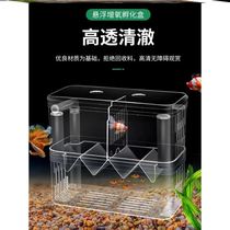 Peacock Fish Propagation Theorizer Small Fish Fish Tank Propagation Hatching Isolated Boxfish Lower cub separator anchovies incl.