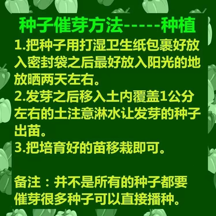 蔬菜种子四季播盆栽阳台种菜庭院菜籽香菜菠菜草莓生菜种籽孑大全 - 图0