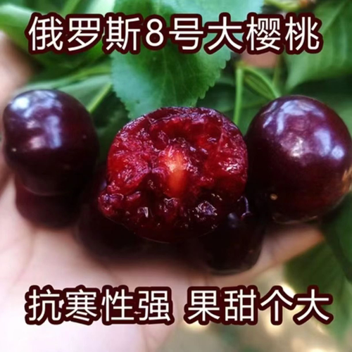 直播间一物一拍改价专用链接 - 图3