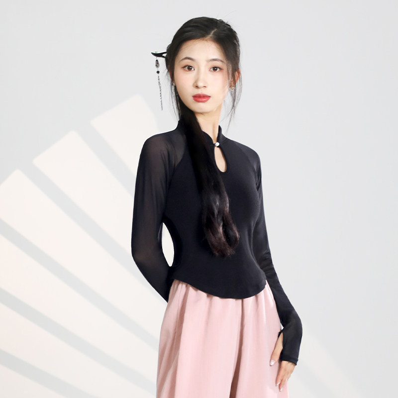 艾舞戈现代舞练功服上衣女新款中式舞蹈服中袖古典中国舞形体服装