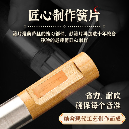 Tang Yin Hulusi Professional Performance Type