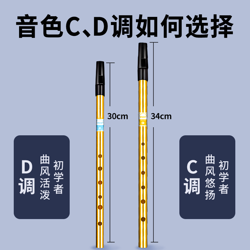 爱尔兰哨笛初学者入门金属笛子6孔C调D调高低音直笛竖笛乐器 - 图2