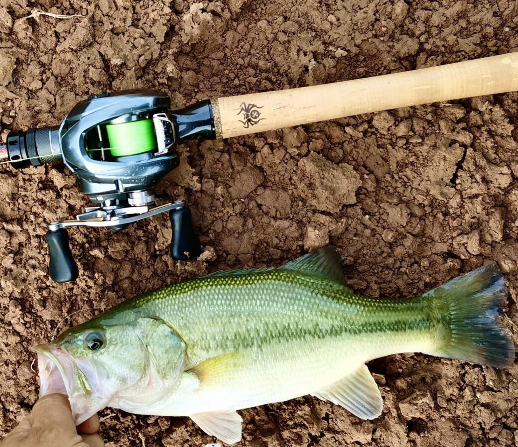 湛道 圭骨652MX加强版 超快精细虫竿  激流鳜鱼高感强悍坛子竿SIC - 图2