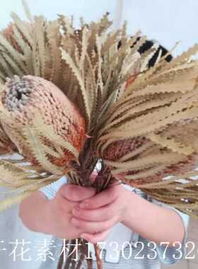 进口班克木是家居民宿装饰高端花材橱窗摆件花束搭配干花婚庆手捧
