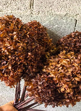 塔状永生花木绣球婚庆花材