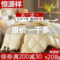 Constant source Xiang duvet quilted by 95 white goose down by core thickened winter by duck suede single spring autumn winter double winter quilt