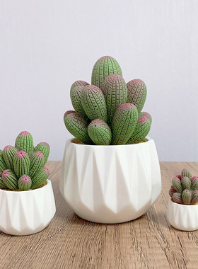 仿真仙人掌汽车摆件多肉树脂装饰摆件家居办公桌面电脑装饰工艺品