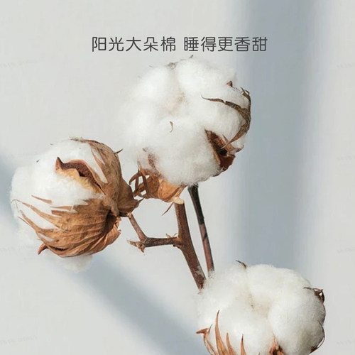罗莱儿童全棉纯棉床单单人床男女孩学生宿舍卡通单卖隔脏被单 - 图1