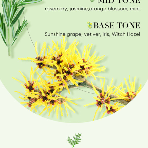 Pure Natural chamomile Oil Moisturizing Body face Massage油 - 图2