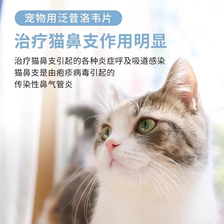 猫鼻支泛昔洛韦片猫鼻支治疗猫咪支原体感染疱疹喷嚏流鼻涕兽用 - 图1