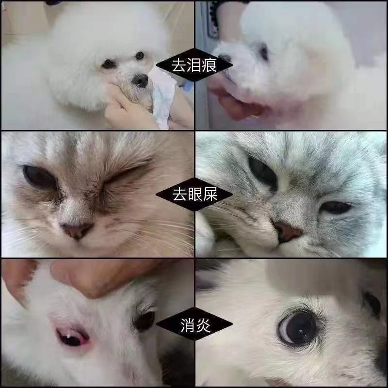 猫咪猫鼻支滴眼液疱疹杯状病毒眼药水狗眼睛发炎祛红肿泪痕结膜炎-图3