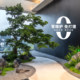 Simulated green plants, indoor landscaping space under stairs, corner landscape, artificial trees, simulated trees, landscape plants, landscaping decoration