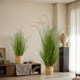 Xiaohongshu’s hot model simulated green green foxtail grass decoration