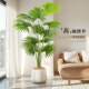Xiaohongshu’s hot model simulated green plants, high-end floor-standing potted plants