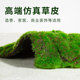 Simulated moss turf landscaping fake moss green plants wall lawn courtyard window decoration scene layout micro landscape