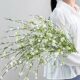 Wedding background simulated snow willow tree high texture decoration