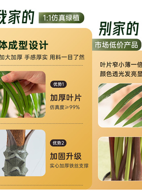 【抖音同款】家居仿生绿植摆件