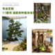 Simulated green plants, indoor landscaping space under stairs, corner landscape, artificial trees, simulated trees, landscape plants, landscaping decoration