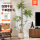 Hongsen Furniture Simulated Peacock Wood Atmosphere Fake Green Plants
