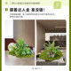 Internet celebrity simulation green plants simulation landscaping green plant combination under the stairs landscaping window corner interior decoration layout
