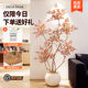 Xiaohongshu’s popular indoor living room decoration Nandina bamboo