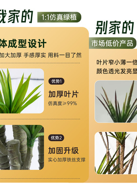 【抖音同款】仿生绿植摆件
