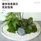 Simulated plant landscaping silicone balcony fence fence water retaining strip fake green plant fence fence base