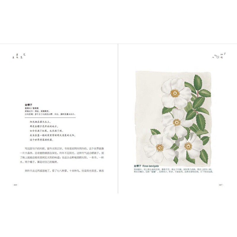 正版笔落草木生精品自然散文32种植物数十幅精美手绘插图带领孩子沉浸自然了解植物知识和背后的历史与故事江苏科学技术