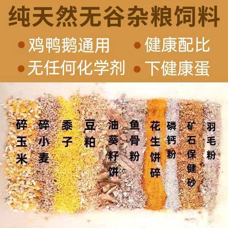 玉米碎粒喂鸡鸭鹅玉米碎粉喂鸡钓鱼打窝产蛋鸡饲料五谷杂粮鸡食料,淘宝优惠券,粉丝福利购,淘宝优惠卷