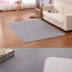 Tối giản hiện đại san hô nhung thảm cửa sổ thảm yoga phòng khách bàn cà phê phòng ngủ thảm bếp chống trượt tại chỗ - Thảm