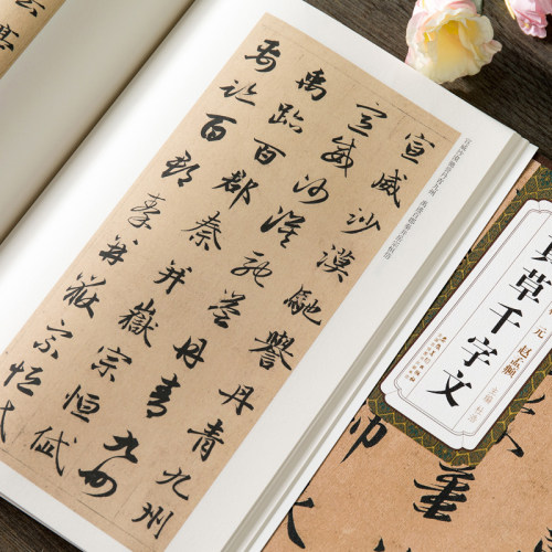 历代碑帖精粹 元 赵孟頫真草千字文 简体旁注 杜浩楷书碑帖楷书 赵孟俯行书草书毛笔字帖书法成人学生临摹练习 安徽美术出版社 - 图1