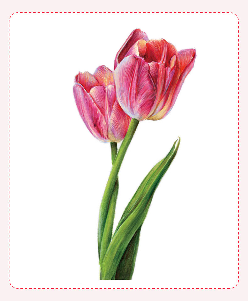 彩铅花卉基础教程一本通 2022一线绘画入门书籍教学彩色铅笔临摹零基础初学者临摹画线稿素描技法书超写实自学手绘本教材美术画册