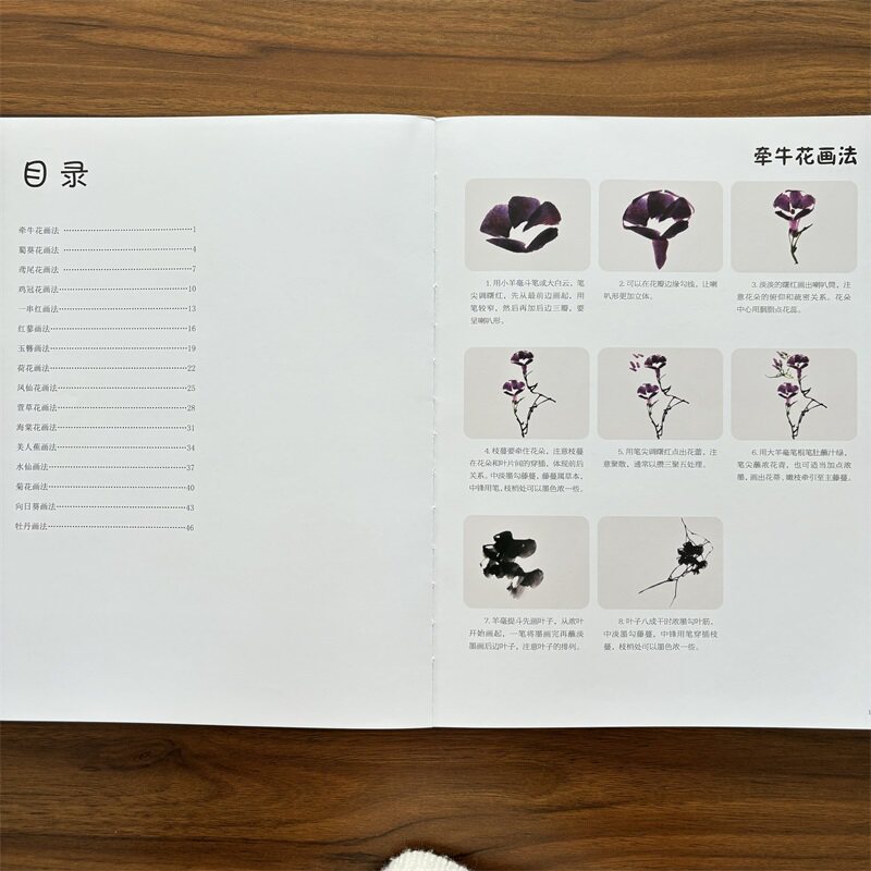 花卉画法 国画基础入门16种写意花卉画法青少年中国画技法教程国画水墨花卉荷花牡丹菊花牵牛水仙花海棠花步骤教学乔森安徽美术