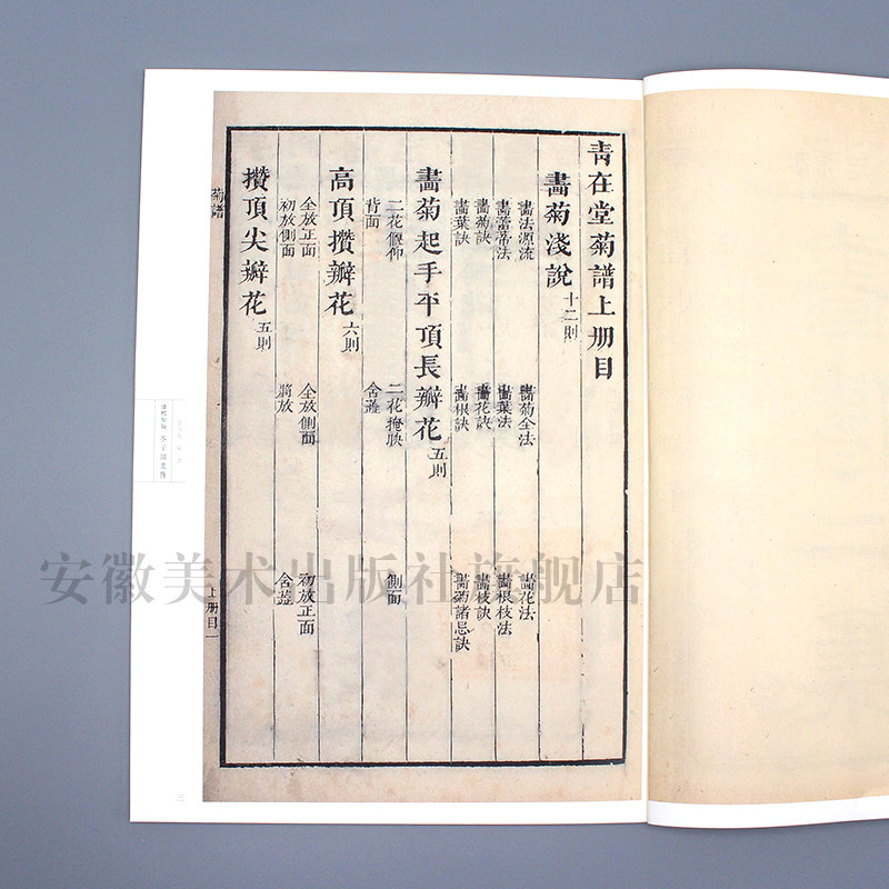康熙原版芥子园画传花鸟卷 菊谱 康熙版芥子园画谱花鸟国画画册大学美术教材芥子园菊花技法临摹范画传统国画芥子园画集菊谱书
