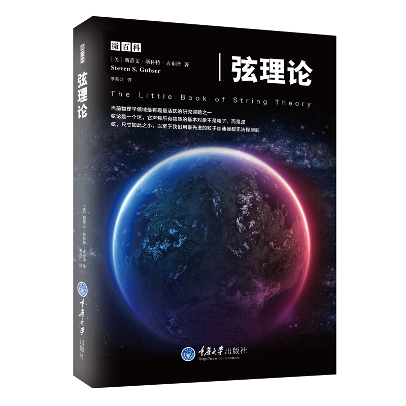 正版 弦理论 超弦理论书籍 蒂文斯科特古布泽 物理学 微百科系列万有理论林斯顿大学物理系教授引力和黑洞量子力学物理科普书nj - 图2