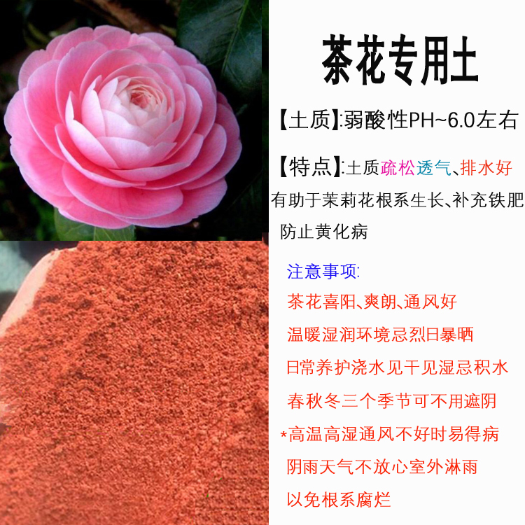 茶花专用红土营养花卉泥土壤粉山茶花四季种植盆栽栀子天然弱酸性 俊胖原生态土特产 淘优券