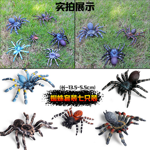 仿真动物昆虫甲虫模型蜜蜂蜘蛛蝎子蜈蚣蚂蚁玩具儿童教育认知礼物 - 图1
