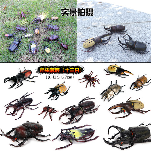 仿真动物昆虫甲虫模型蜜蜂蜘蛛蝎子蜈蚣蚂蚁玩具儿童教育认知礼物 - 图0