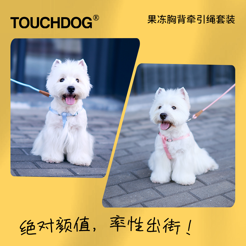 Touchdog它它狗狗牵引绳狗链狗胸背心式背带小中大型犬遛狗绳宠物 - 图3