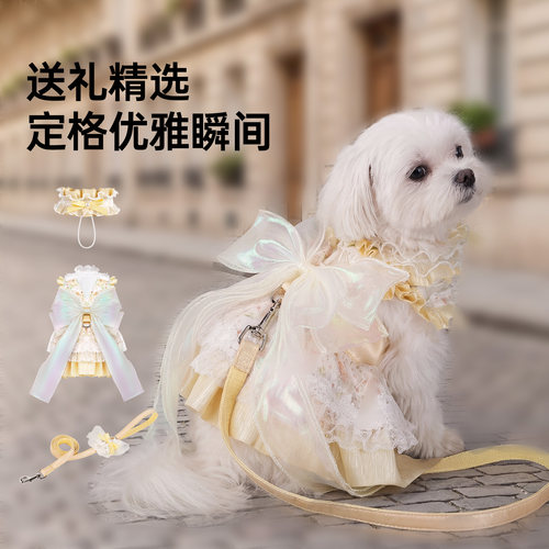 touchdog它它狗狗裙子宠物衣服小猫咪比熊泰迪马尔济斯小型犬夏天 - 图3