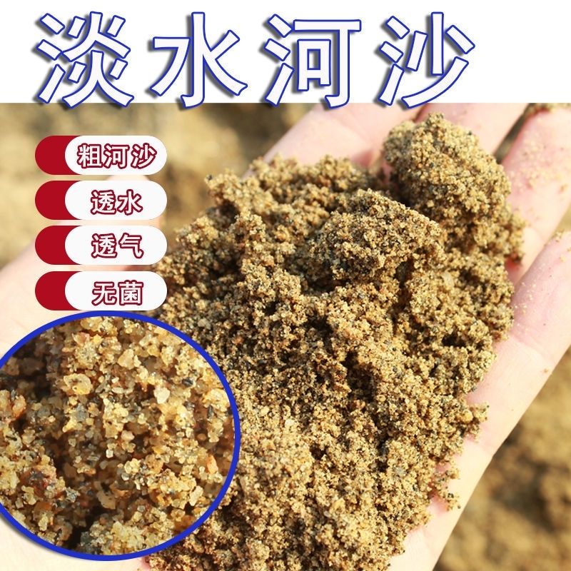 粗细河沙种植养花用拌土天然黄沙铺面中石子乌龟冬眠孵蛋鱼缸底砂 - 图1