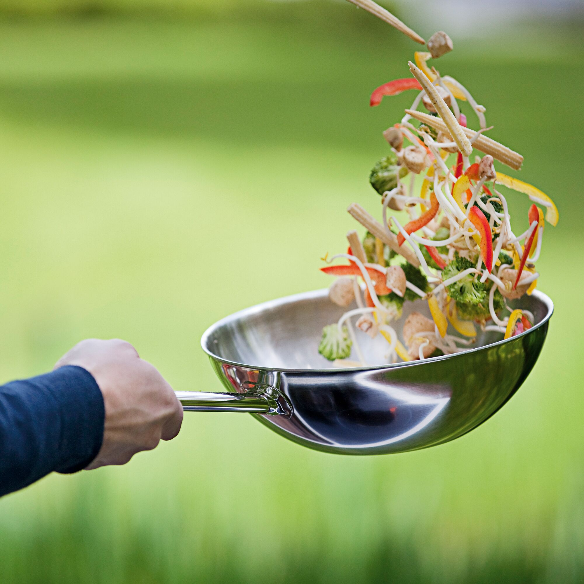 正品保障 假一赔三 比利时Demeyere不锈钢锅apollo系列wok炒锅 - 图2