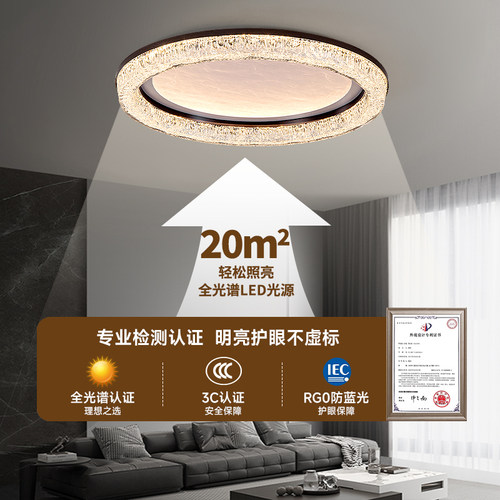 意式极简2025年新款客厅灯圆形吸顶灯高档主卧室房间高亮护眼灯具 - 图0