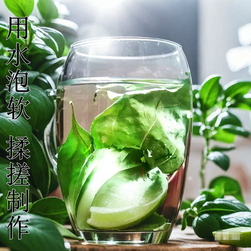 臭黄荆叶神仙豆腐树叶干叶斑鸠叶凉粉树叶豆腐柴叶观音绿豆腐叶干 - 图1