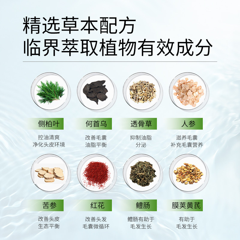 莹朴防脱毛囊头皮护理精华液人参 莹朴发膜/护发产品