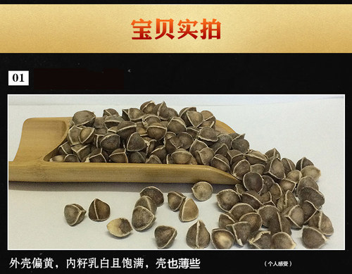 质检报告大颗粒非洲辣木籽原种非印度冈比亚尼日利亚精选食用500g - 图2