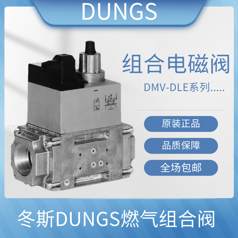 DUNGS组合阀DMV-DLE507/11 DMV-DLE512/11 DMV-DLE520/11电磁阀 - 图2