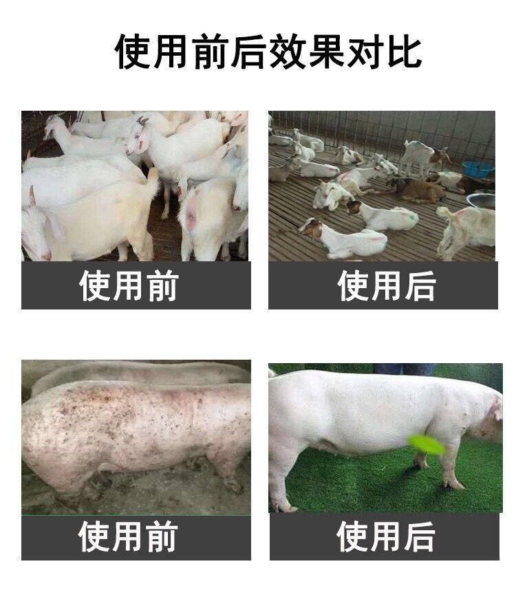 畜禽驱虫套餐，高端水溶打虫肉眼可见驱虫不伤胃-图3