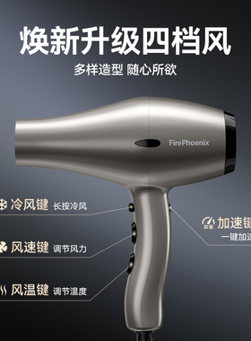 火之凤6600H+吹风机理发店专用发廊发型师无刷大功率速干风筒正品