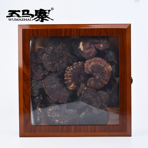 五马寨 广东特产 粤北韶关 灵芝 深山野生赤灵芝伞大整枝 500g - 图0